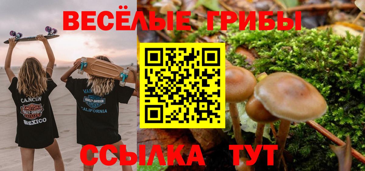 Галлюциногенные грибы прущие грибы  Вход с VPN  Галлюциногенные грибы Cubensis  Краснокамск 